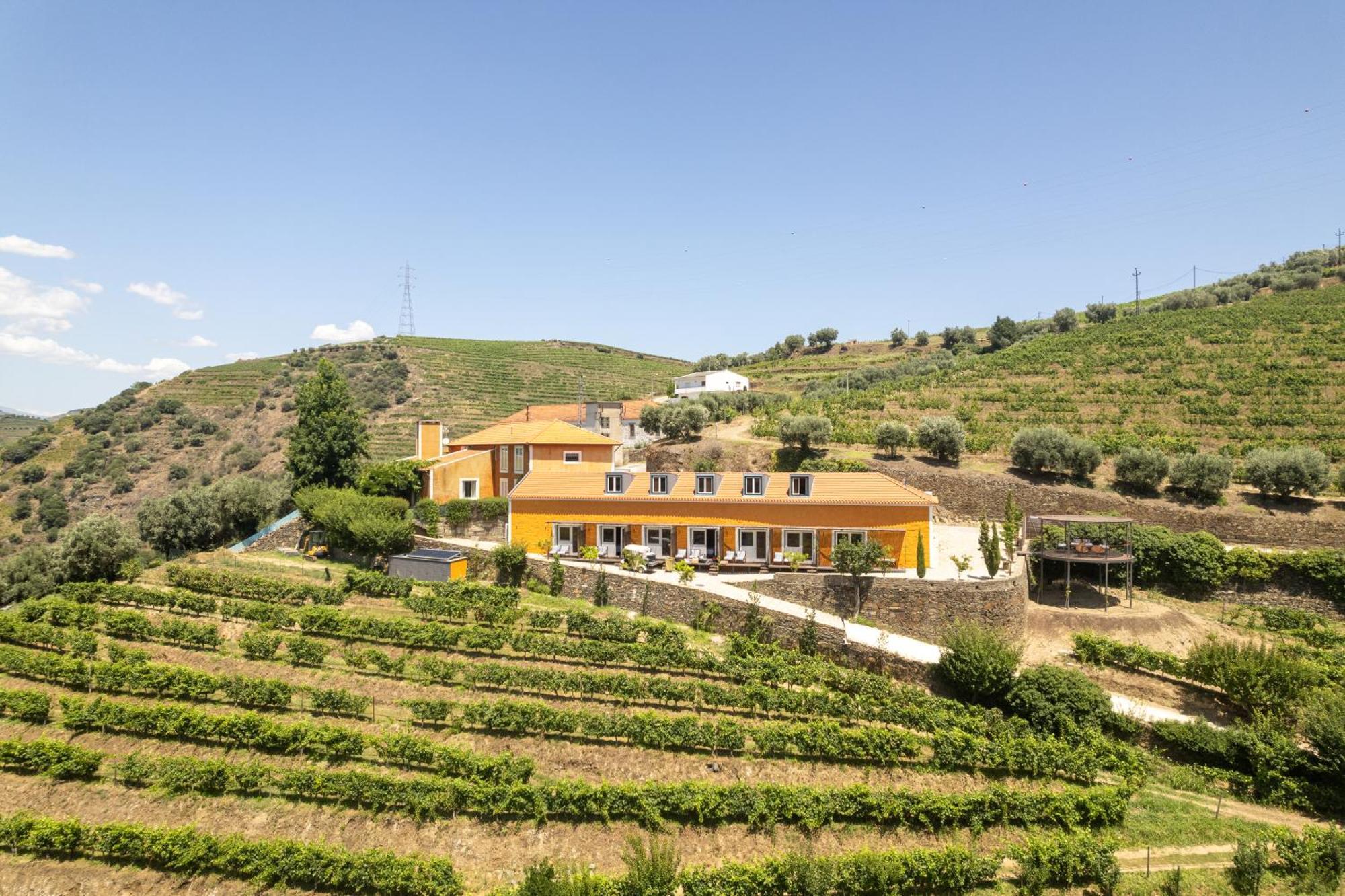 Quinta Do Vallado - Douro Wine Hotel Peso da Régua Exterior foto