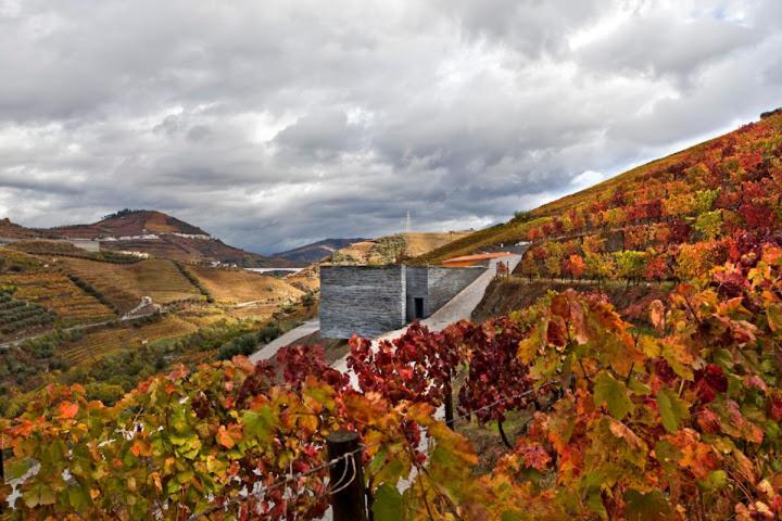 Quinta Do Vallado - Douro Wine Hotel Peso da Régua Exterior foto